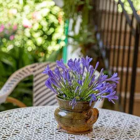 La Quercia Retreat 4*