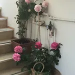 La Quercia Retreat 4* ميتا