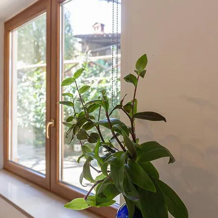 La Quercia Guest house